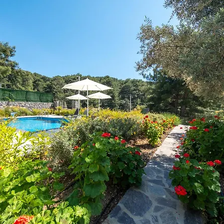 Olive Hills - Family-friendly Luxury * Fethiye